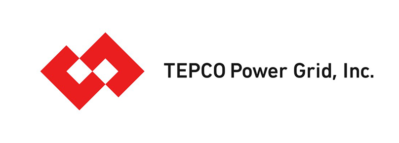 TEPCO Power Grid
